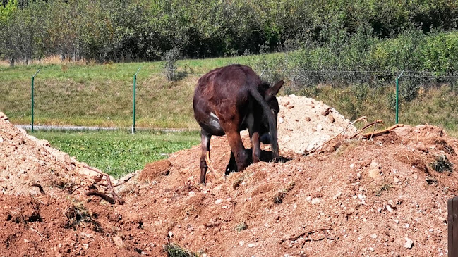 Penzión Réva - Gastronómia a pohostinstvo