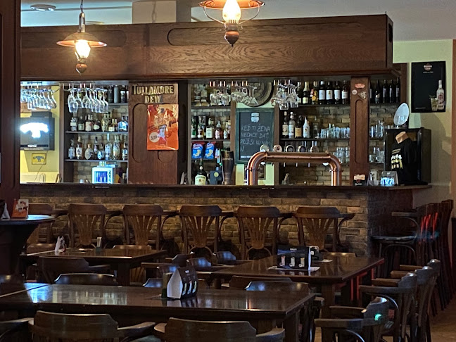 The Dubliner irish pub