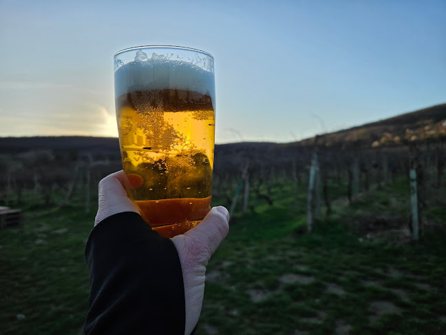 Bufet na dobrom mieste - Nové Mesto