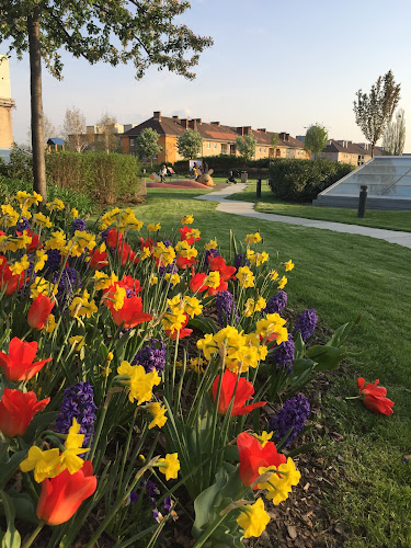 Comentarii opinii despre Black Coffee (ON THE ROOF OF SHOPPING CENTRAL)