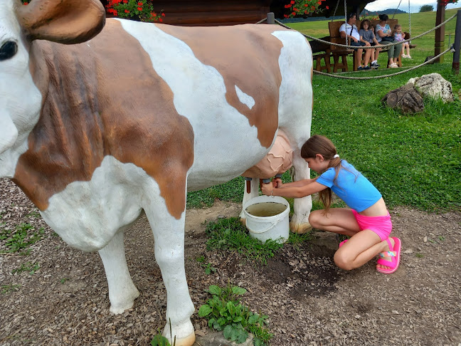 Demkovská 40, 027 05 Zázrivá