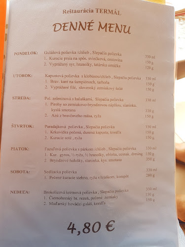 Opinii despre Reštaurácia TERMAL Patince kúpele în Patince - Gastronómia a pohostinstvo