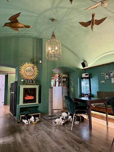 Mačacia Kaviareň Banská Bystrica - Gastronómia a pohostinstvo