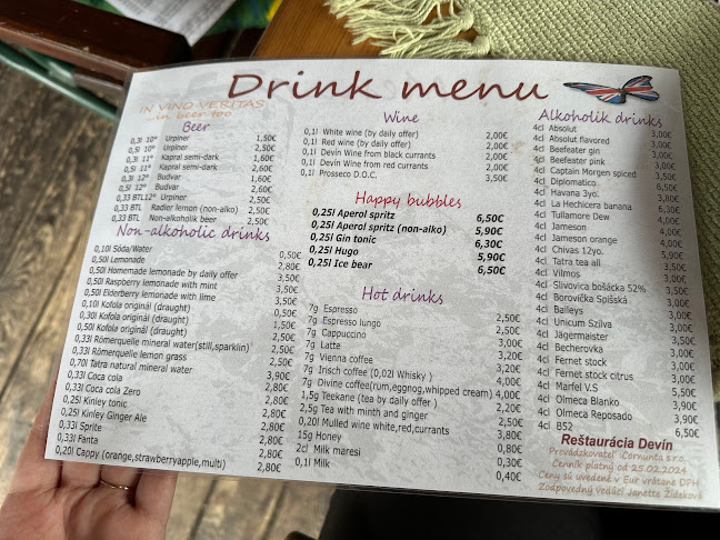 Opinii despre Reštaurácia Devín în Devín - Gastronómia a pohostinstvo