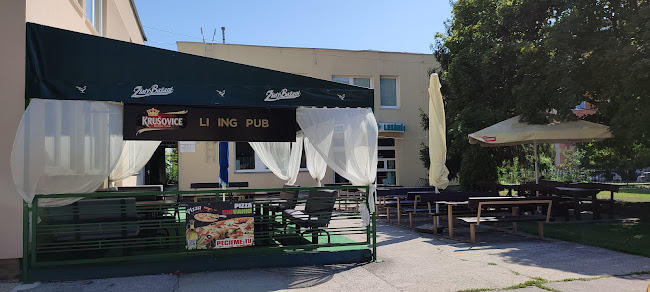 Comentarii opinii despre Living Pub