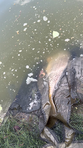 Prístavisko Veľký Ostrov - Bufet Stefan