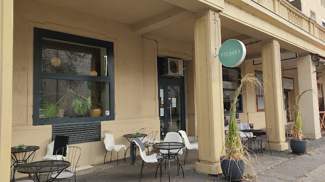 Volavka Kaviareň - Gastronómia a pohostinstvo