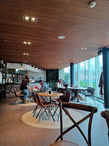 Comentarii opinii despre Kubu