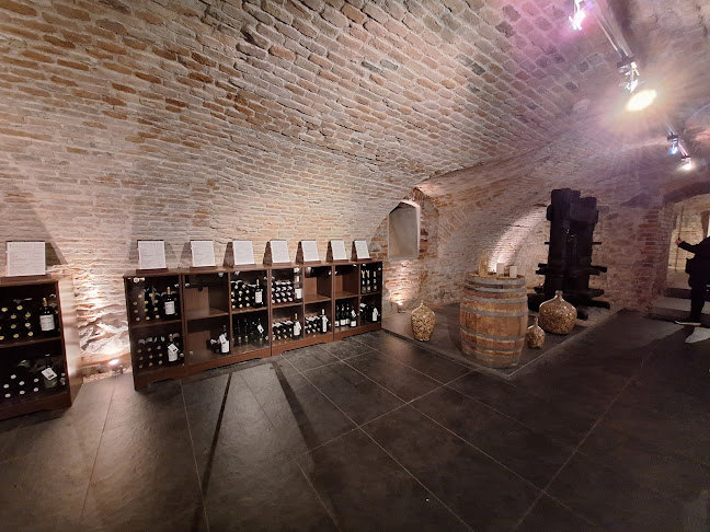 Opinii despre The Slovak National Collection of Wines în Bratislava - Gastronómia a pohostinstvo