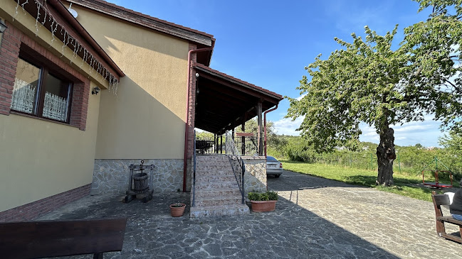 Športová 486, 915 01 Nové Mesto nad Váhom