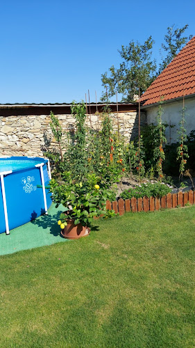 Opinii despre Sukenicka Modra în Modra - Gastronómia a pohostinstvo