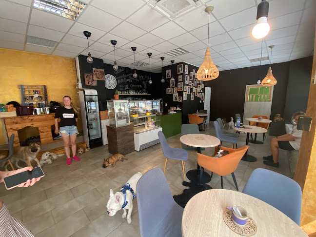 Psia škôlka a Caffetéria - Gastronómia a pohostinstvo
