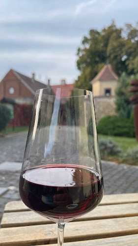 Opinii despre Reštaurácia u Františkánov în Skalica - Gastronómia a pohostinstvo