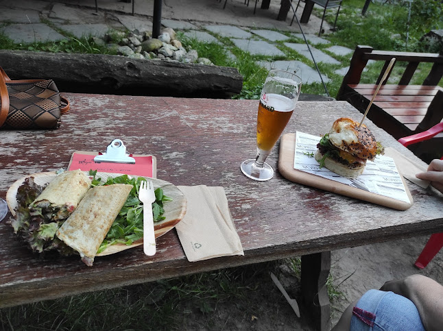 Comentarii opinii despre Mlyn