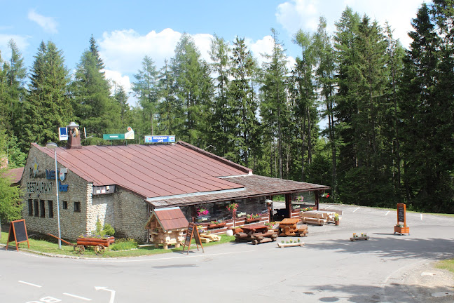 Reštaurácia Plesnivec - Gastronómia a pohostinstvo