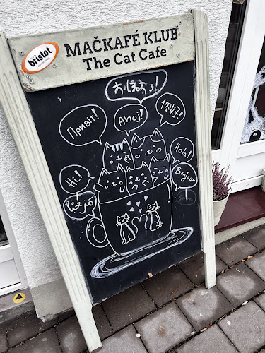 Mačkafé klub