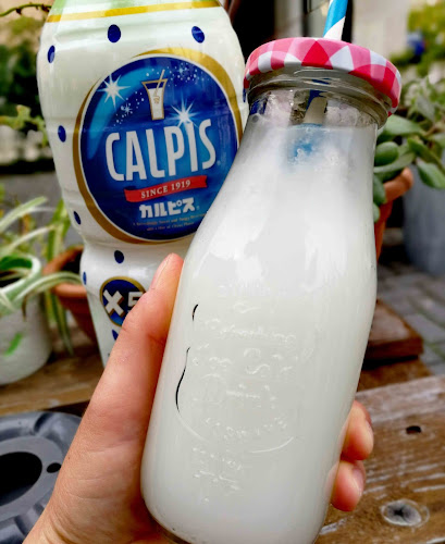 Kováčska 41, 040 01 Košice