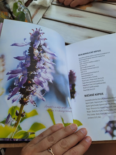 Comentarii opinii despre Gasthof LEVANDA