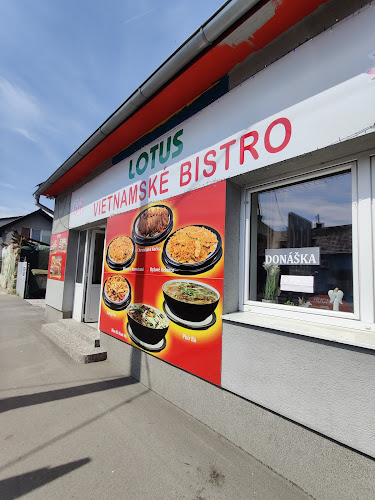 Vietnamske bistro Lotus
