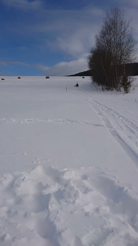 Koliba pod Kráľovou hoľou Telgárt