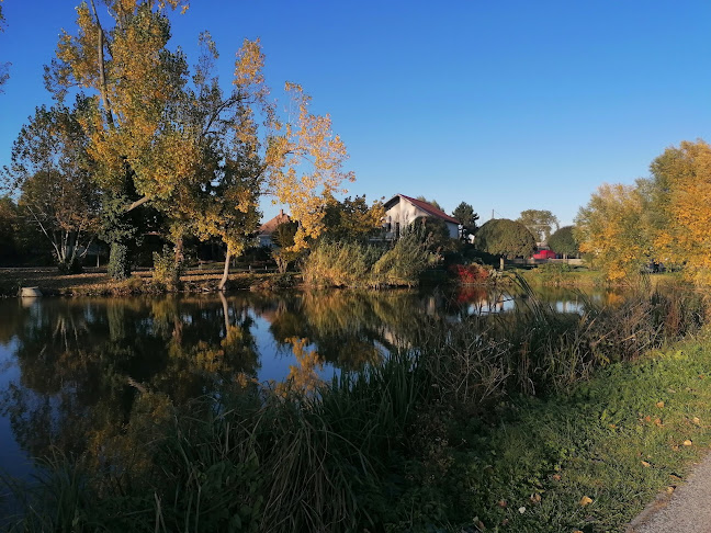 Opinii despre Kráľovský Bufet în Kráľová pri Senci - Gastronómia a pohostinstvo