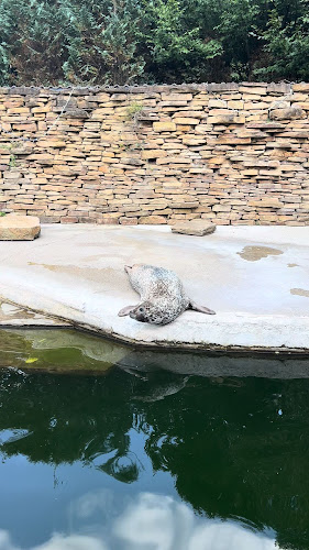 Doraz Cafe - ZOO Košice