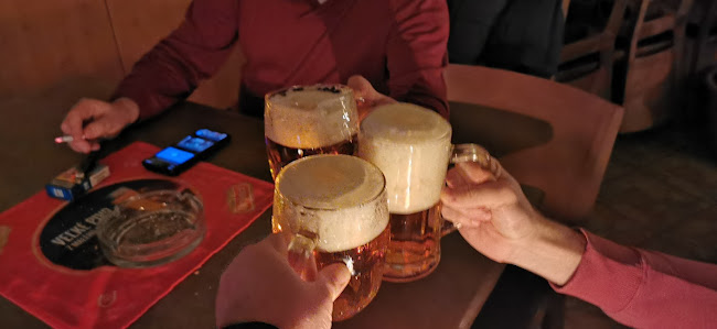 Comentarii opinii despre Hostinec U Lemeša