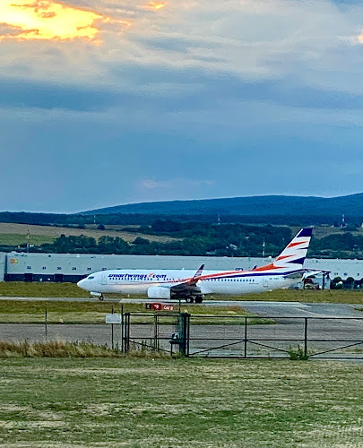 Comentarii opinii despre Pilot Bar