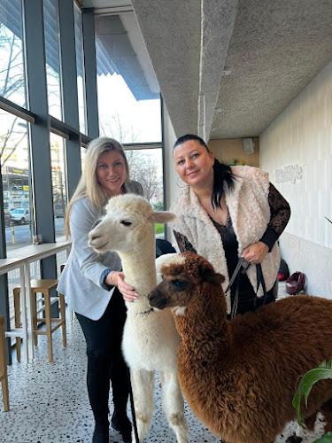 Opinii despre Bite&Byte în Bratislava - Gastronómia a pohostinstvo