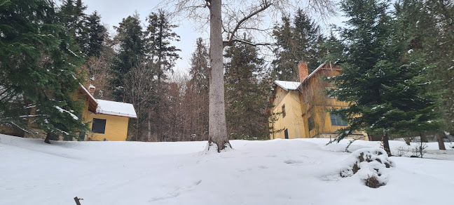 Comentarii opinii despre Caffe Komporday