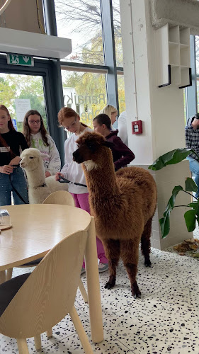 Bite&Byte - Bratislava