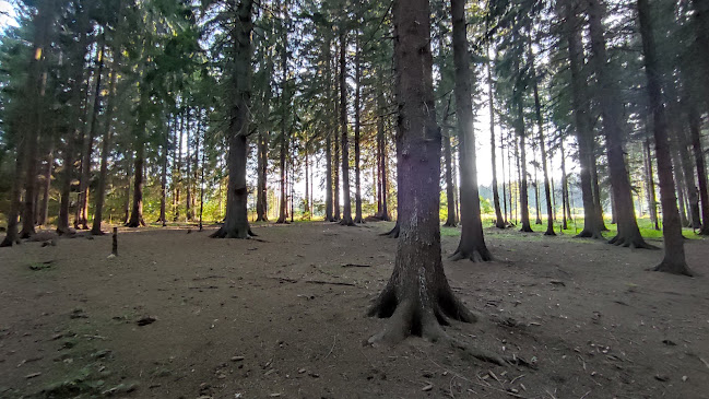 Jedloviny 9470, 036 01 Martin