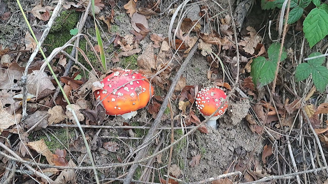 Klinger - Bufet - Banská Štiavnica