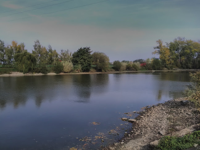 Comentarii opinii despre Gól Pub