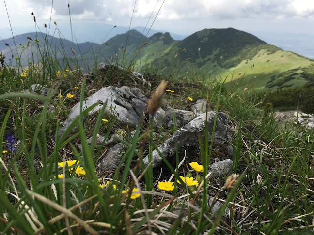 Opinii despre Krasnany în Žilina - Gastronómia a pohostinstvo