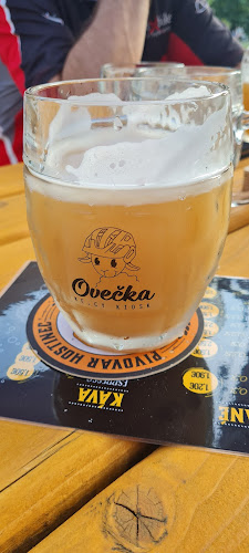 Comentarii opinii despre Ovečka KE.CY kiosk