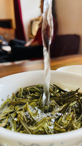 Opinii despre ČAVANGO în Košice - Gastronómia a pohostinstvo