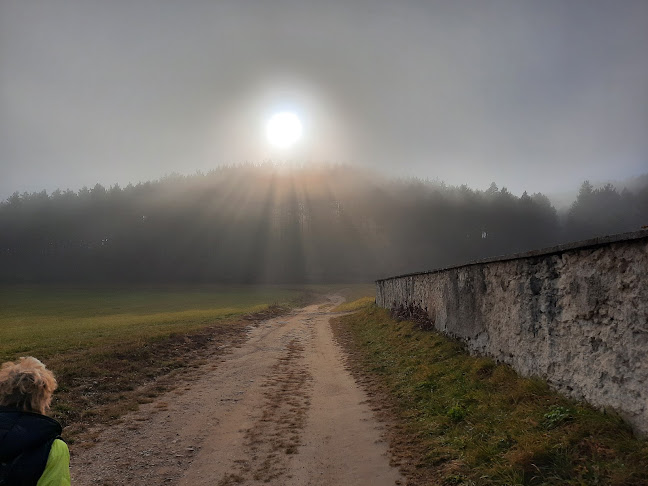 Opinii despre Sokol în Martin - Gastronómia a pohostinstvo