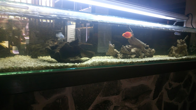 R-Park Presso - Fiľakovo