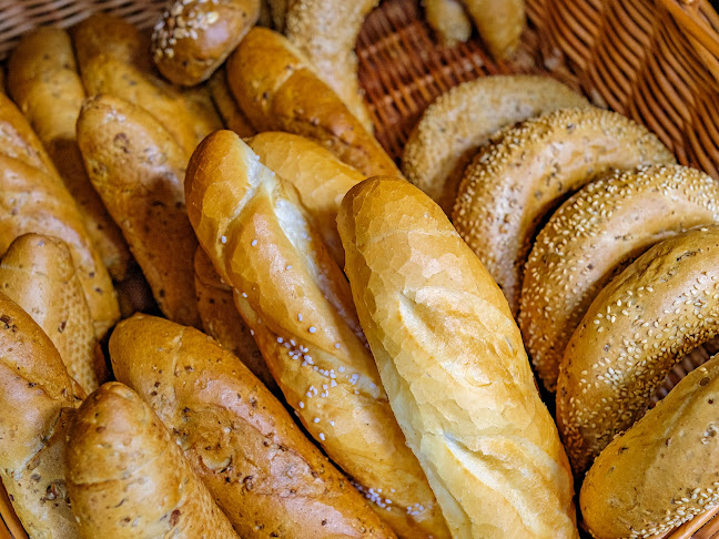 Lark Skalica - Skalica