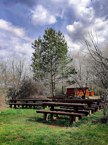 Comentarii opinii despre DO Lesa