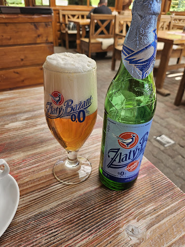 Demänovská Dolina 2, 031 01 Demänovská Dolina