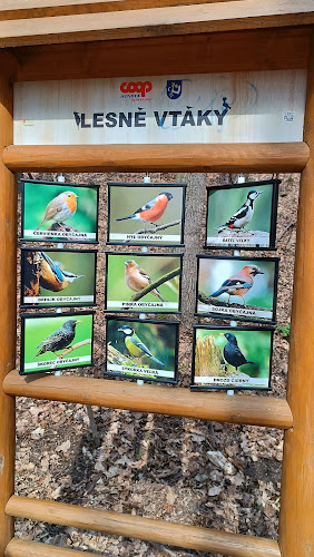 Koliba Hubková - Gastronómia a pohostinstvo