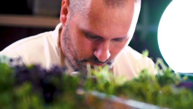 Opinii despre Rybka sushi bar în Poprad - Gastronómia a pohostinstvo