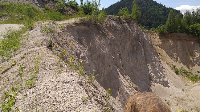 Motorest Rieka - Gastronómia a pohostinstvo