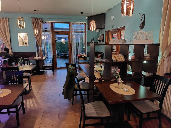 PÁVIK - Liptovský Mikuláš