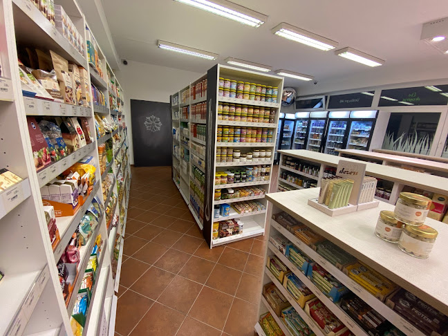 Šustekova 20, 851 04 Petržalka