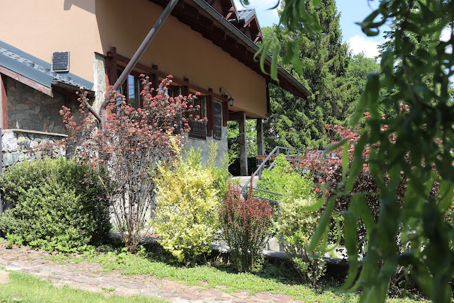 GAZDOVSKÝ DVOR MLYNKY - Mlynky