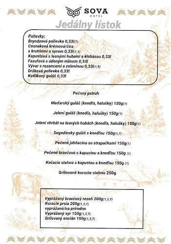 Penzión a koliba Sova