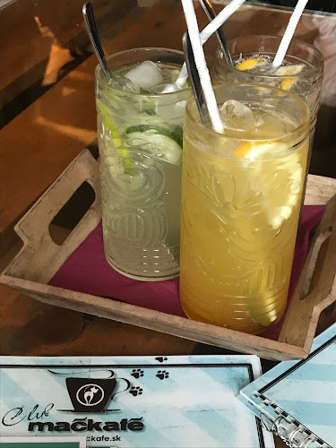Opinii despre Mačkafé klub în Bratislava - Gastronómia a pohostinstvo